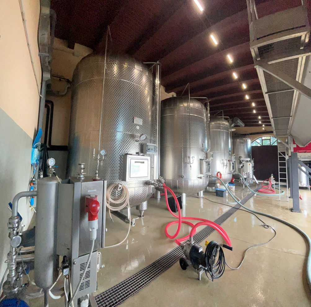 Vinificazione Vinificazione